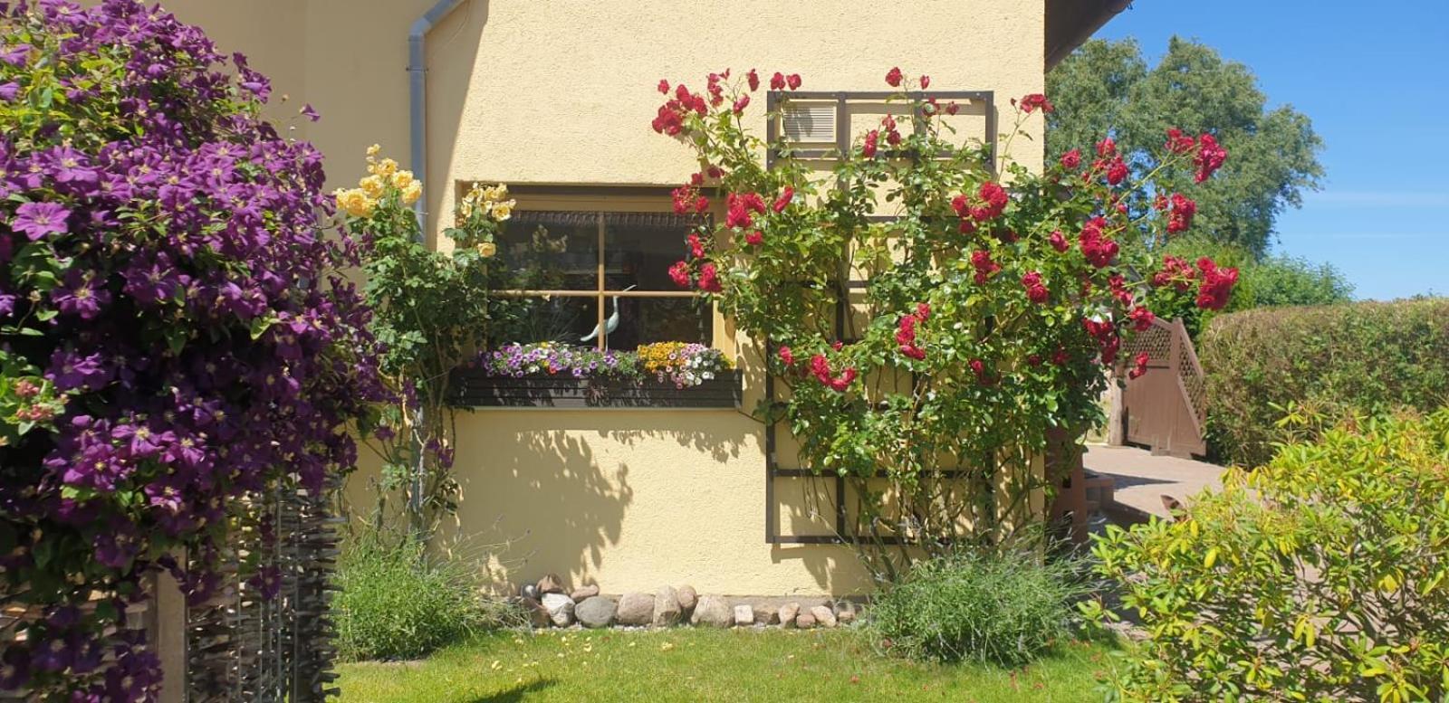 Ostseeferien In Lichtenhagen-Dorf Ferienwohnung Elmenhorst/Lichtenhagen Exteriör bild