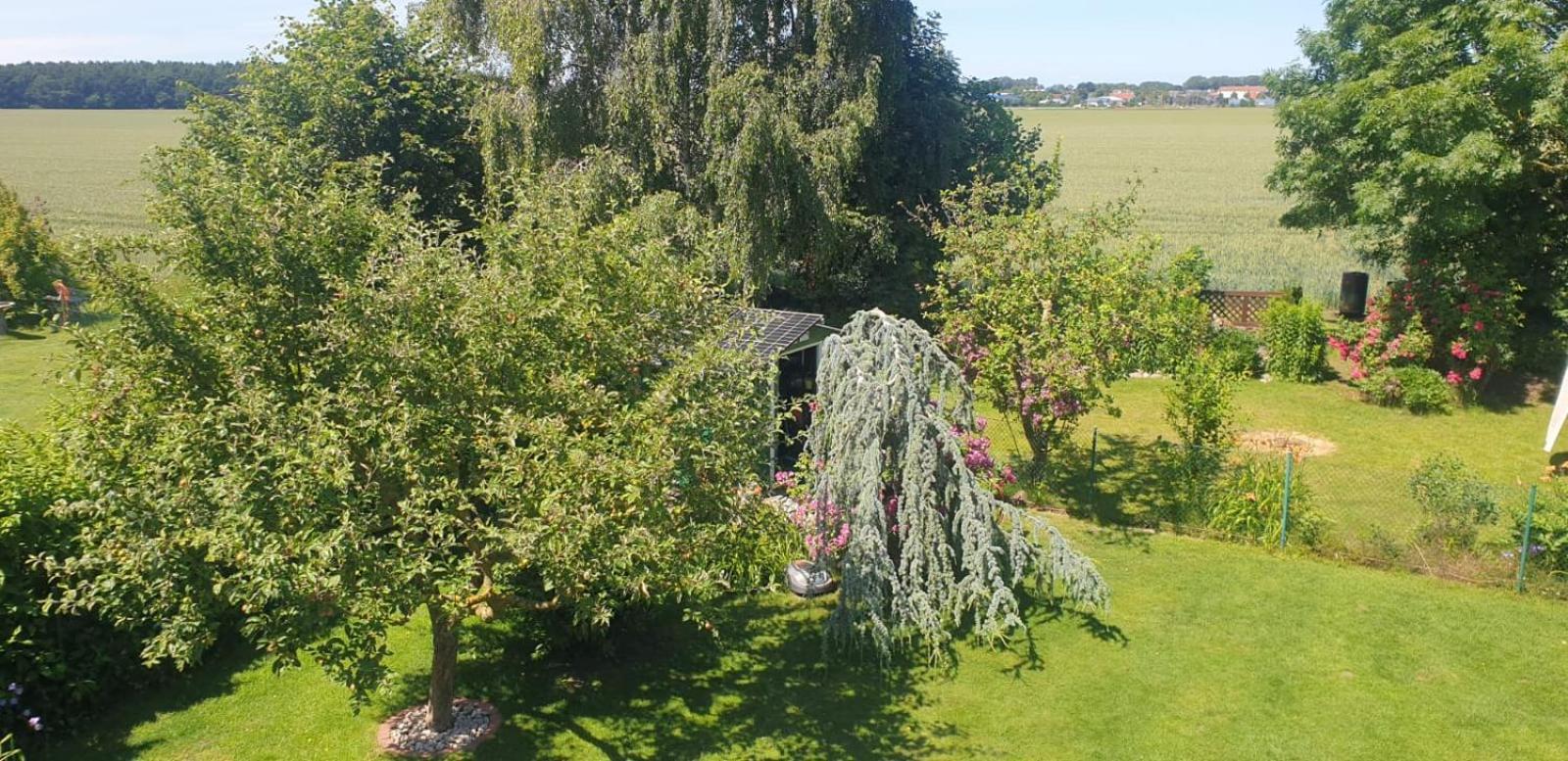 Ostseeferien In Lichtenhagen-Dorf Ferienwohnung Elmenhorst/Lichtenhagen Exteriör bild